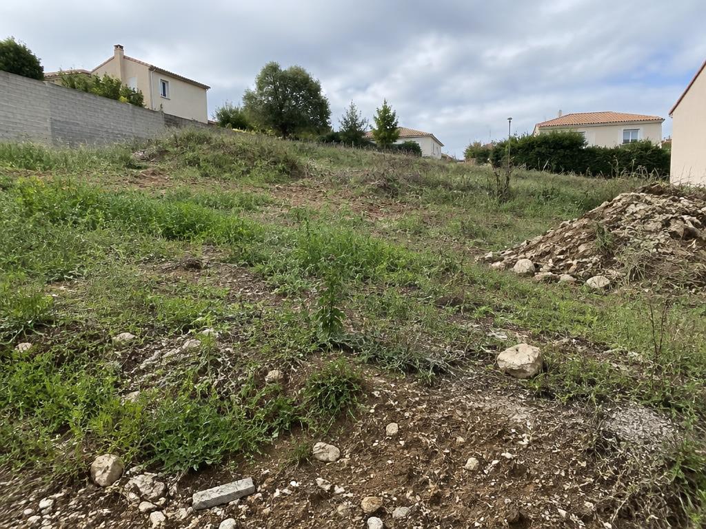 Terrain en pente broussailleux avant terrassement en Isère